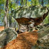 Kamień w unikatowej formie grzyba sprzed 60 milionów lat w Rezerwacie Przyrody Kamień-Grzyb.