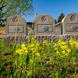 Image: War Cemetery no. 293 in Zakliczyn