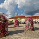 Kamienica Ślebarskich w Oświęcimiu przy placu z oddali, na pierwszym planie gazony z kwiatami.