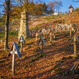 Drewniane krzyże na nagrobkach na stoku wzgórza i kamienny pomnik w kształcie słupa. Nagrobki stoją pośród liści w kolorach jesieni.