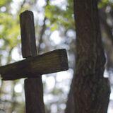 Fragment drewnianego krzyża, obok pień drzewa, w tle las.